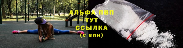 спиды Аркадак