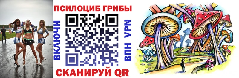 KRAKEN зеркало  Сарапул  Галлюциногенные грибы Magic Shrooms 